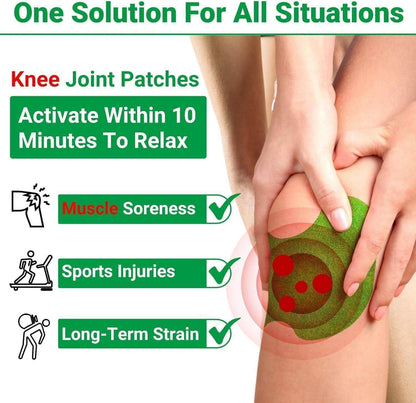 Knee Pain Relief Herbal Knee Pain Relief Patches